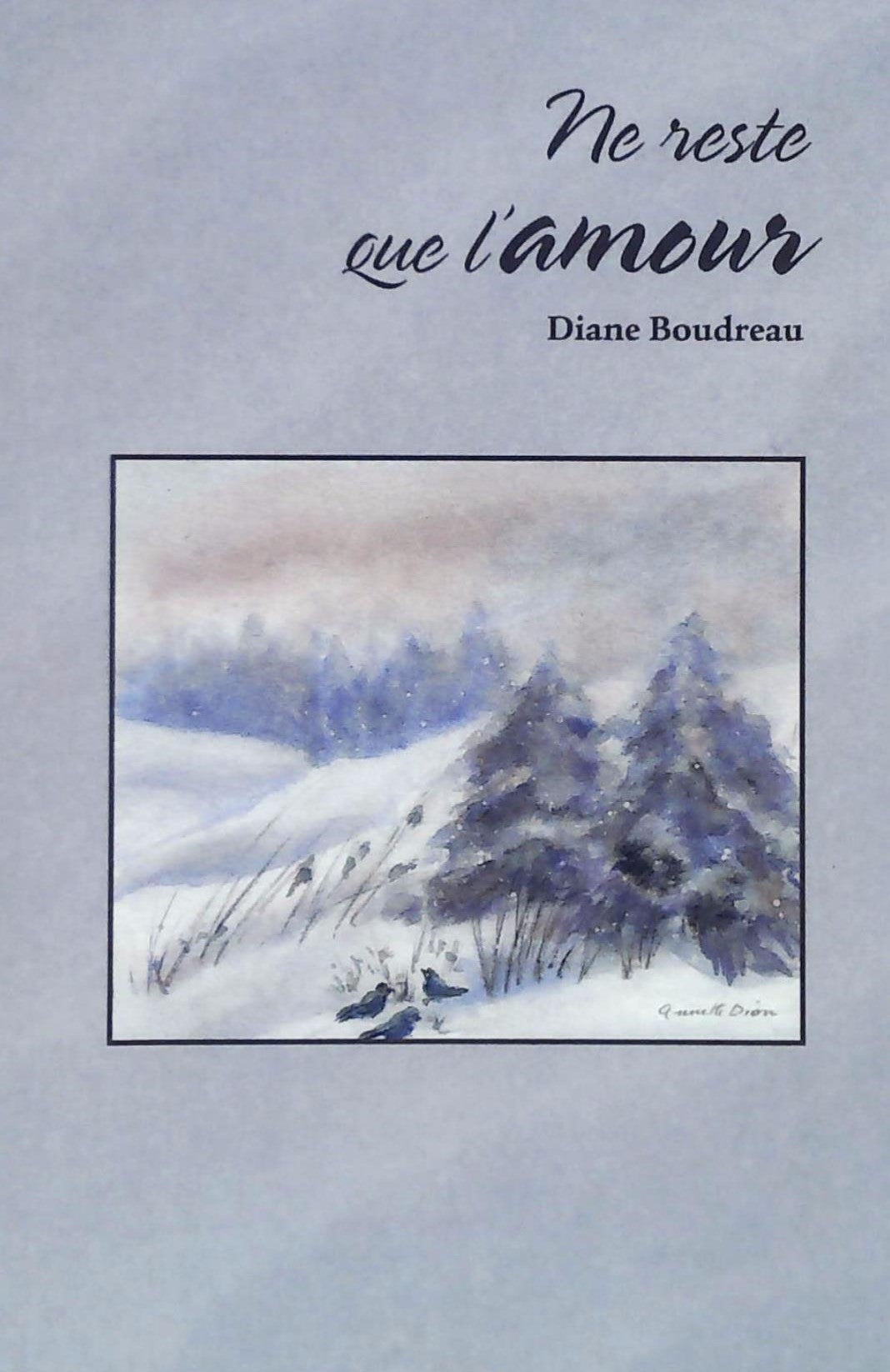 Livre Ne reste que l'amour - Diane Boudreau (Livre d'occasion) - ISBN 2920689061