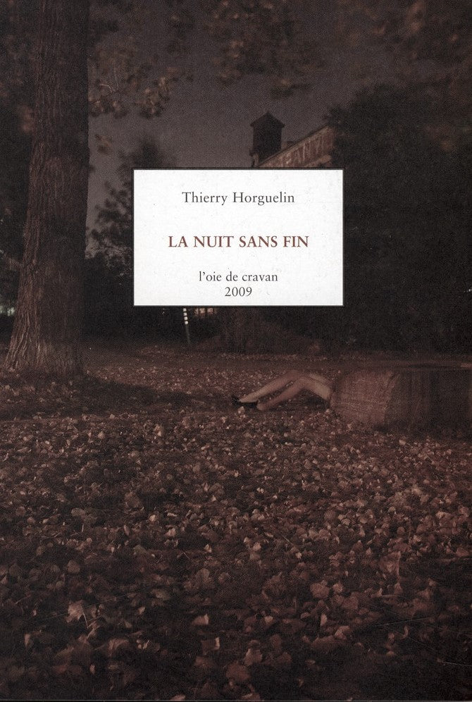 La nuit sans fin - Thierry Horguelin