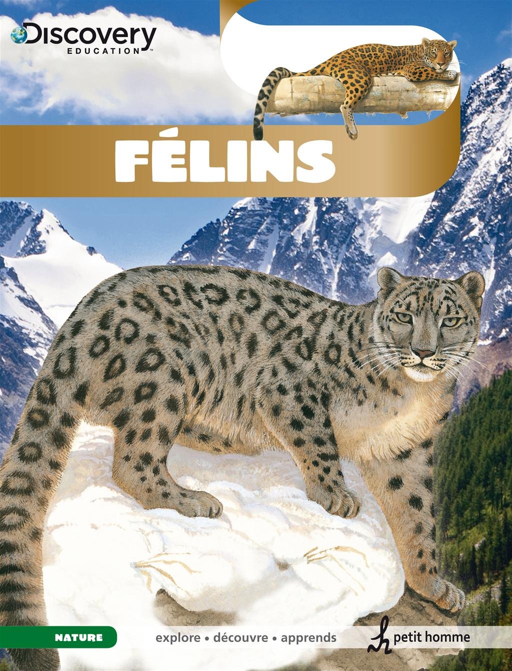 Livre Félins - Collectif (Livre neuf) - ISBN 2924025087