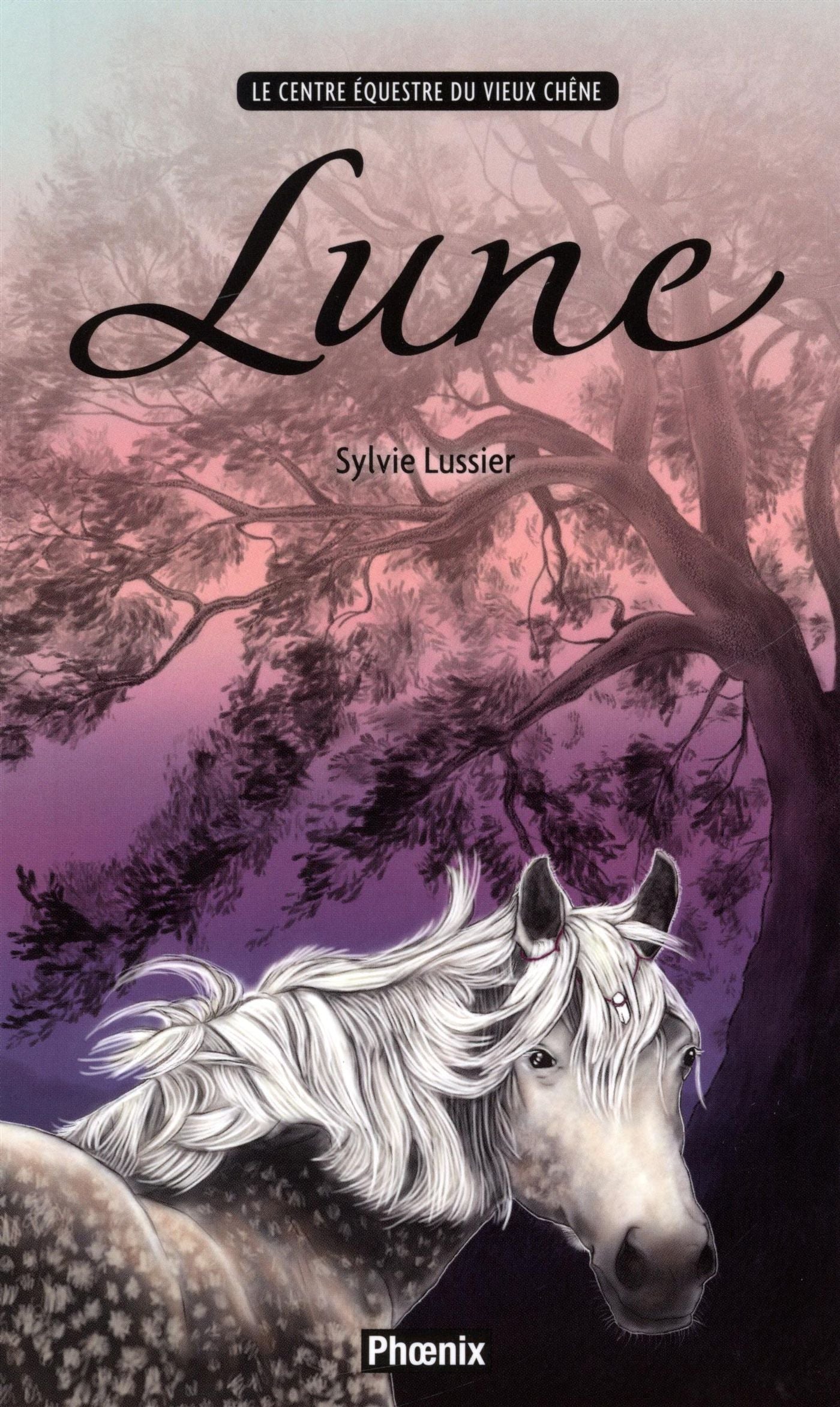 Livre Lune - Sylvie Lussier (Livre d'occasion) - ISBN 2924253411