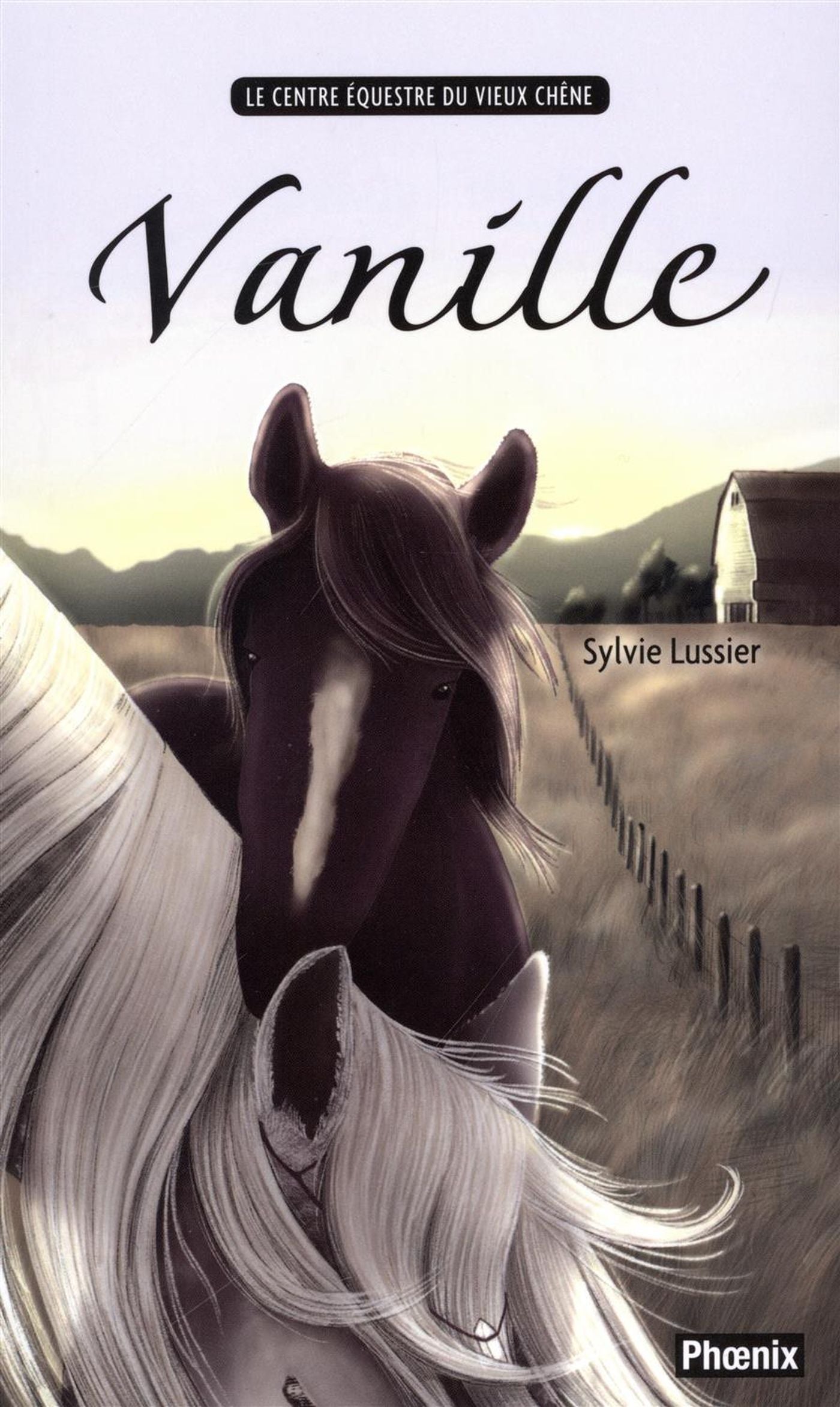 Livre Vanille - Sylvie Lussier (Livre d'occasion) - ISBN 2924253896