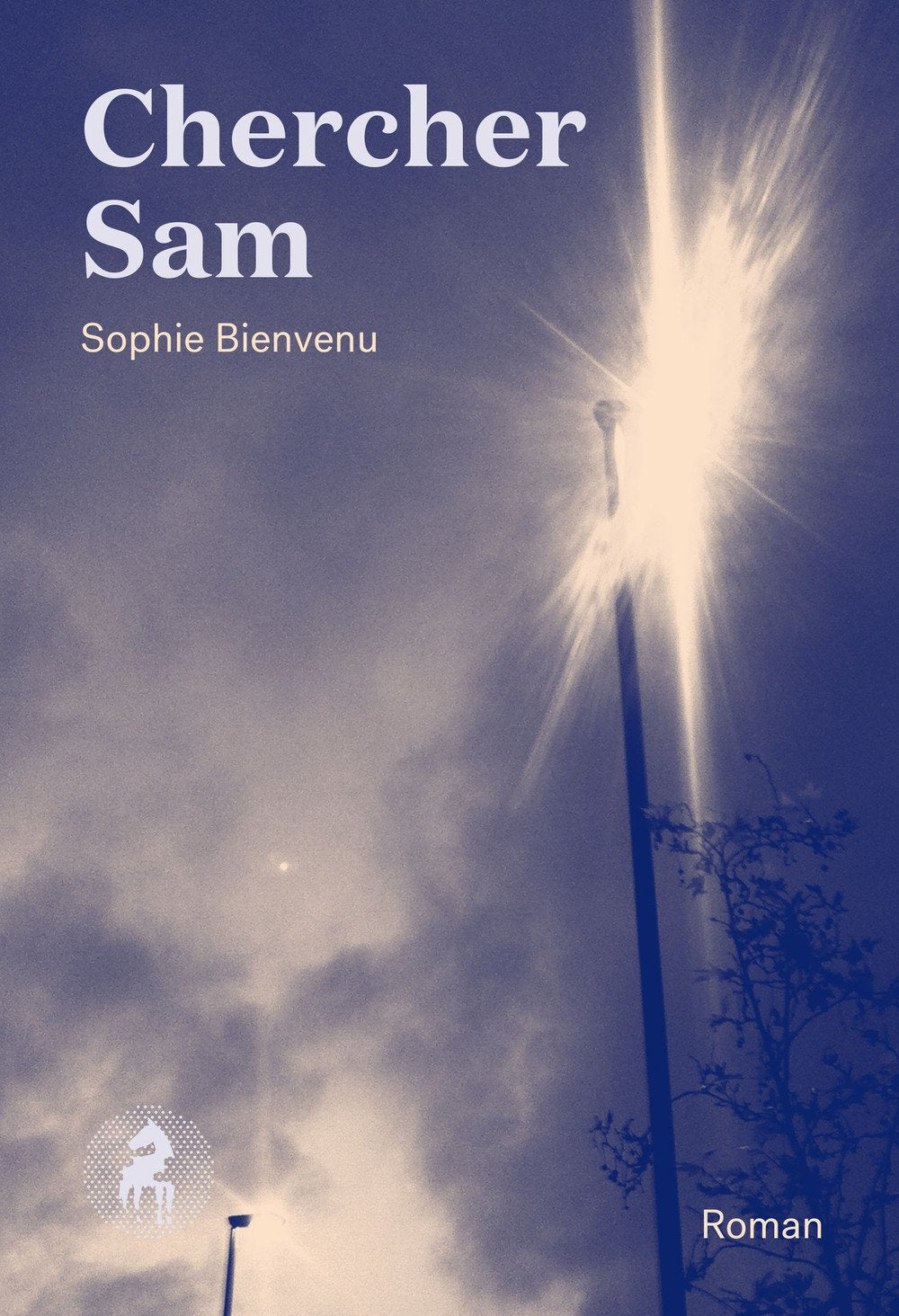 Livre Chercher Sam - Sophie Bienvenu (Livre d'occasion) - ISBN 2924491096