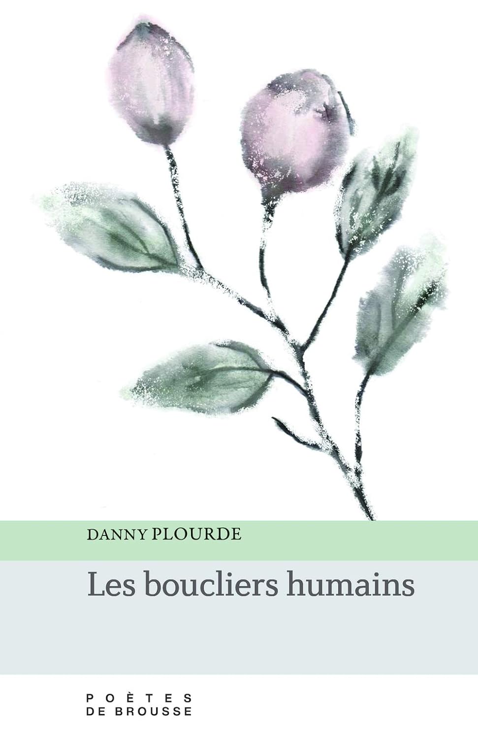 Livre Les boucliers humains - Danny Plourde (Livre neuf)
