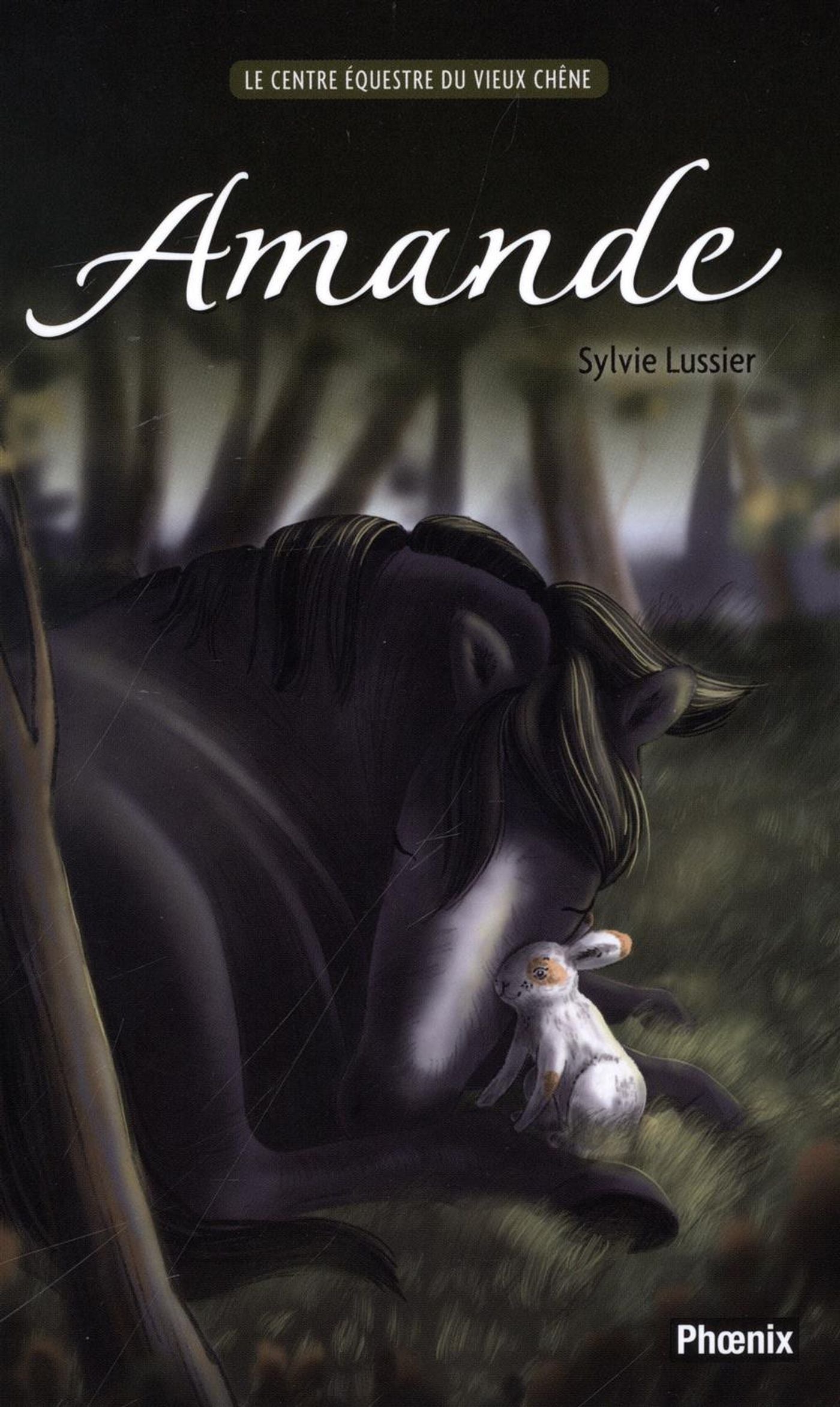 Livre Amande - Sylvie Lussier (Livre d'occasion) - ISBN 2924833167