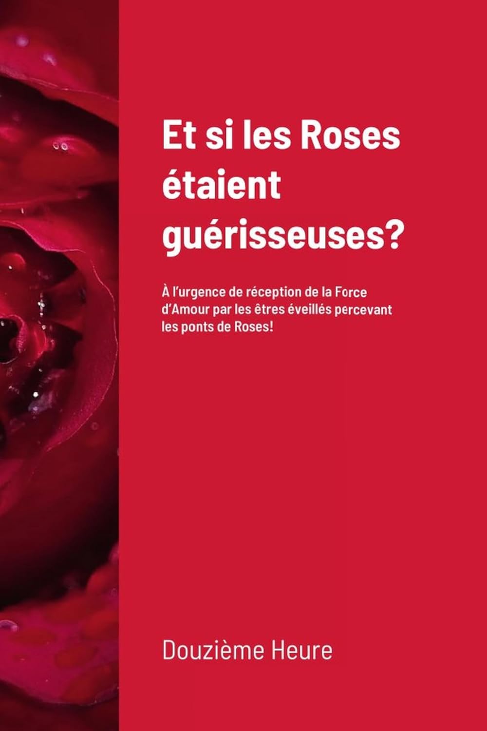 Et si les roses étaient guérisseuses? : À l'urgence de réception de la Force d'Amour par les êtres éveillés percevant les ponts de Roses! - Douzième Heure