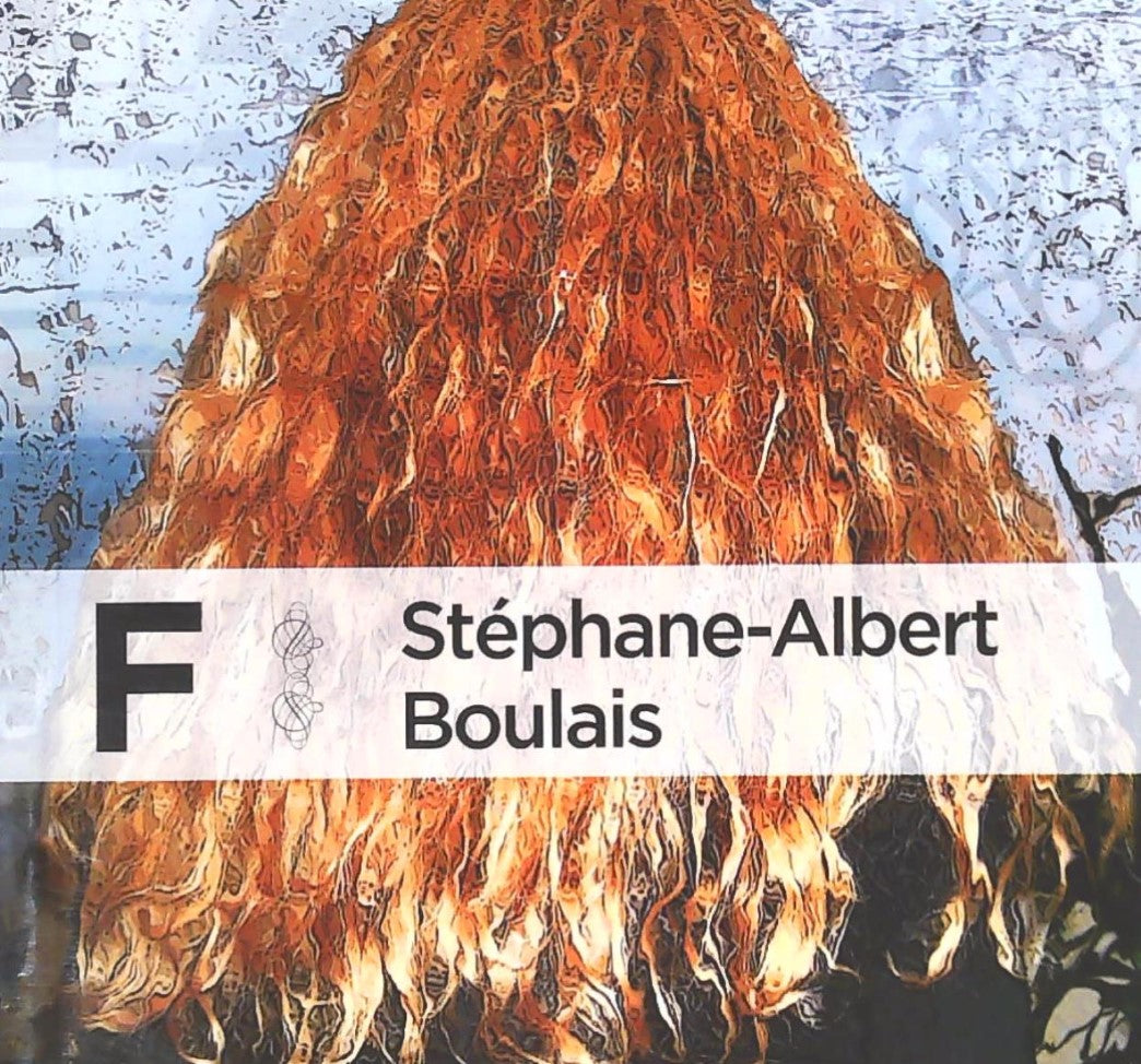 Livre F (Stéphane-Albert Boulais) (Livre d'occasion) - ISBN 2981232606