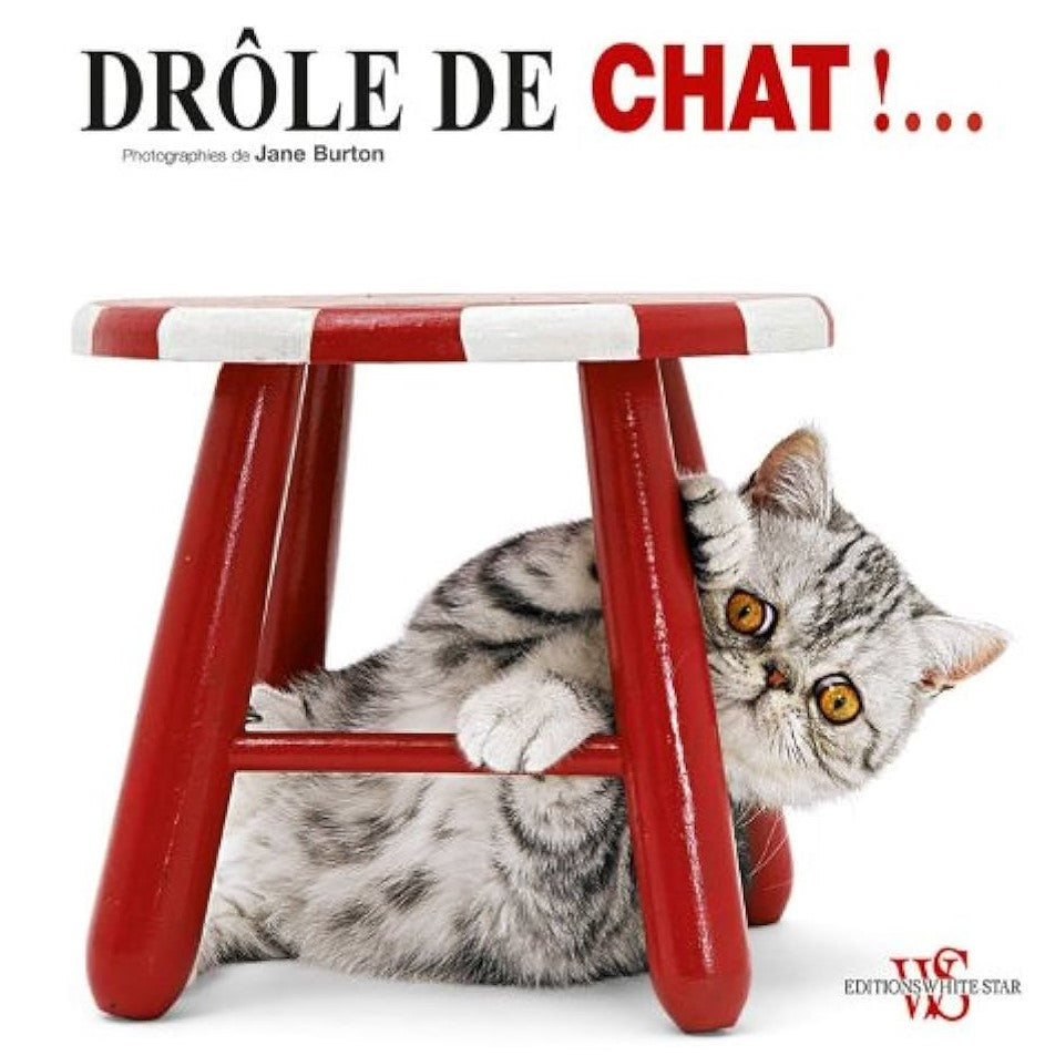 Drôle de chat !... - Jane Burton