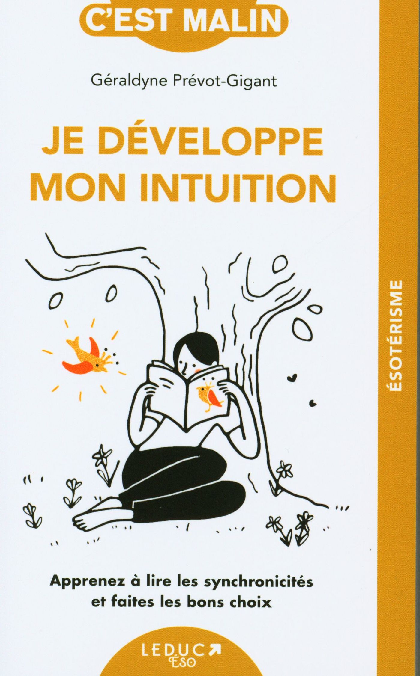 Je développe mon intuition : Apprenez à lire les synchronicités - Géraldyne Prévot-Gigant