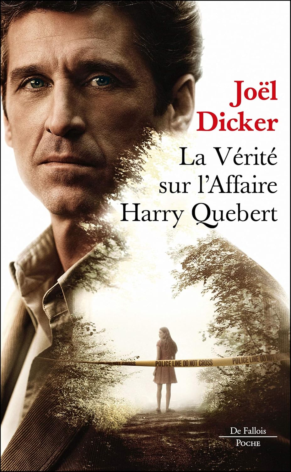 Livre La vérité sur l'affaire Harry Quebert (Joël Dicker) (Livre d'occasion)