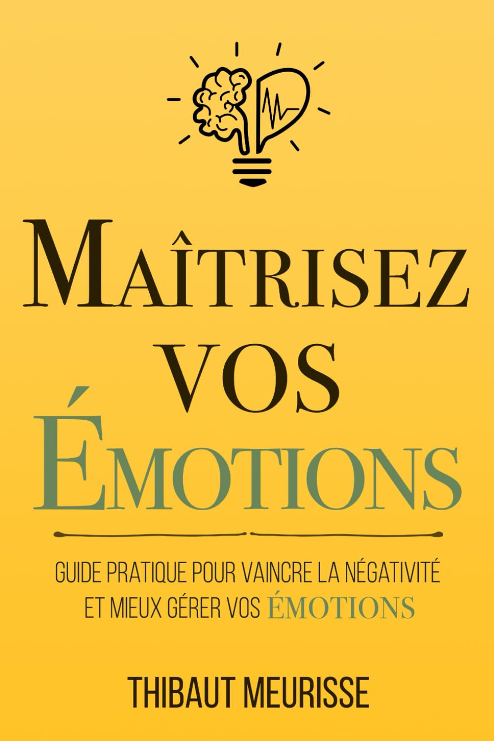 Livre Maîtrisez vos émotions : Guide pratique pour vaincre la négativité et mieux gérer vos émoti...
