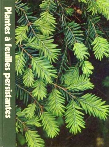 Livre Plantes à feuilles persistantes (Livre d'occasion)