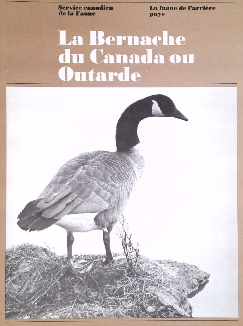 La faune de l'arrière pays : La bernache du Canada ou Outarde - Service canadien de la Faune