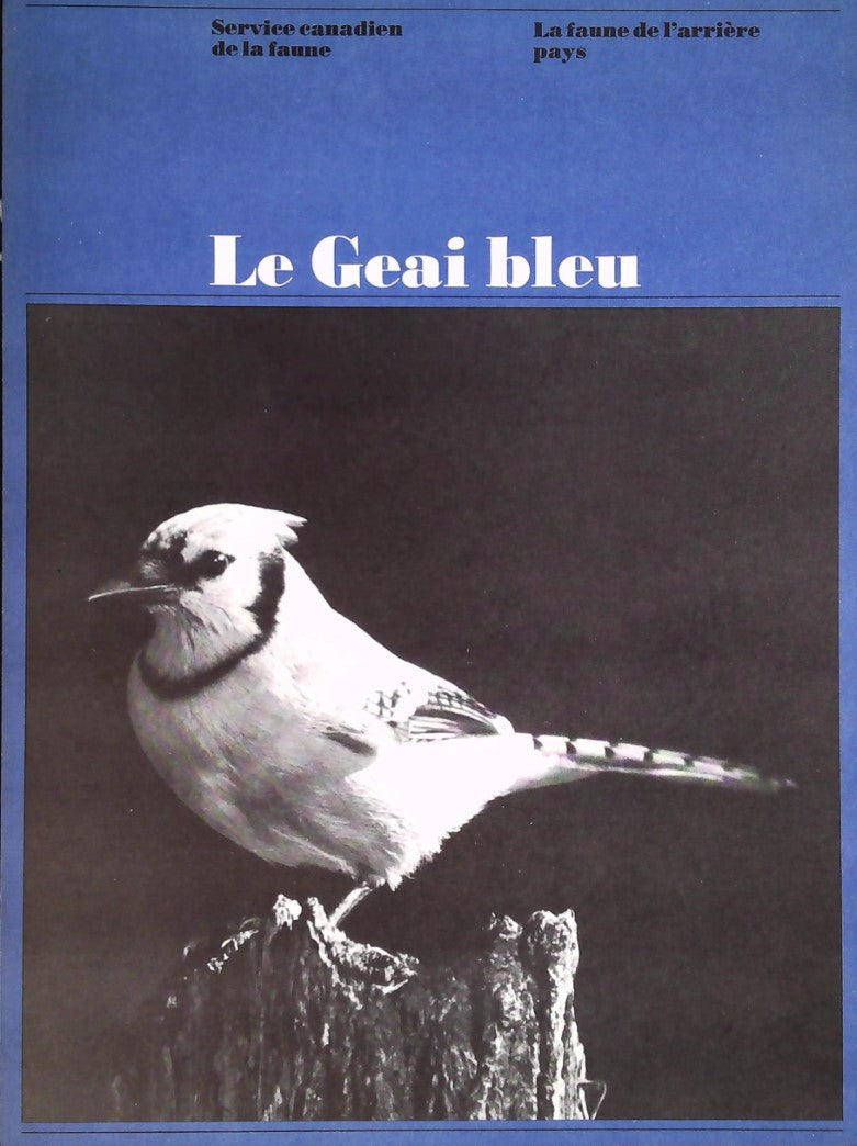 La faune de l'arrière pays : Le geai bleu - Service canadien de la Faune