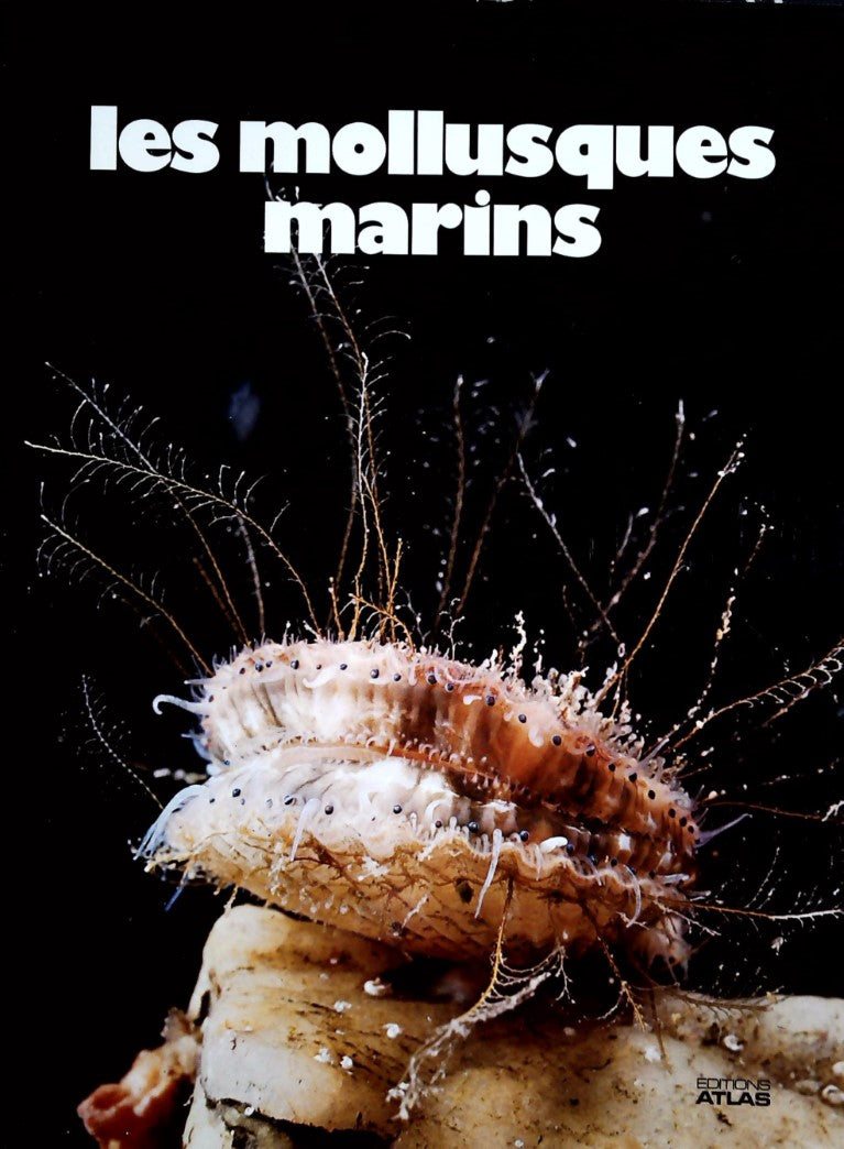 Livre ISBN Les mollusques marins (Jean M. Gaillard)