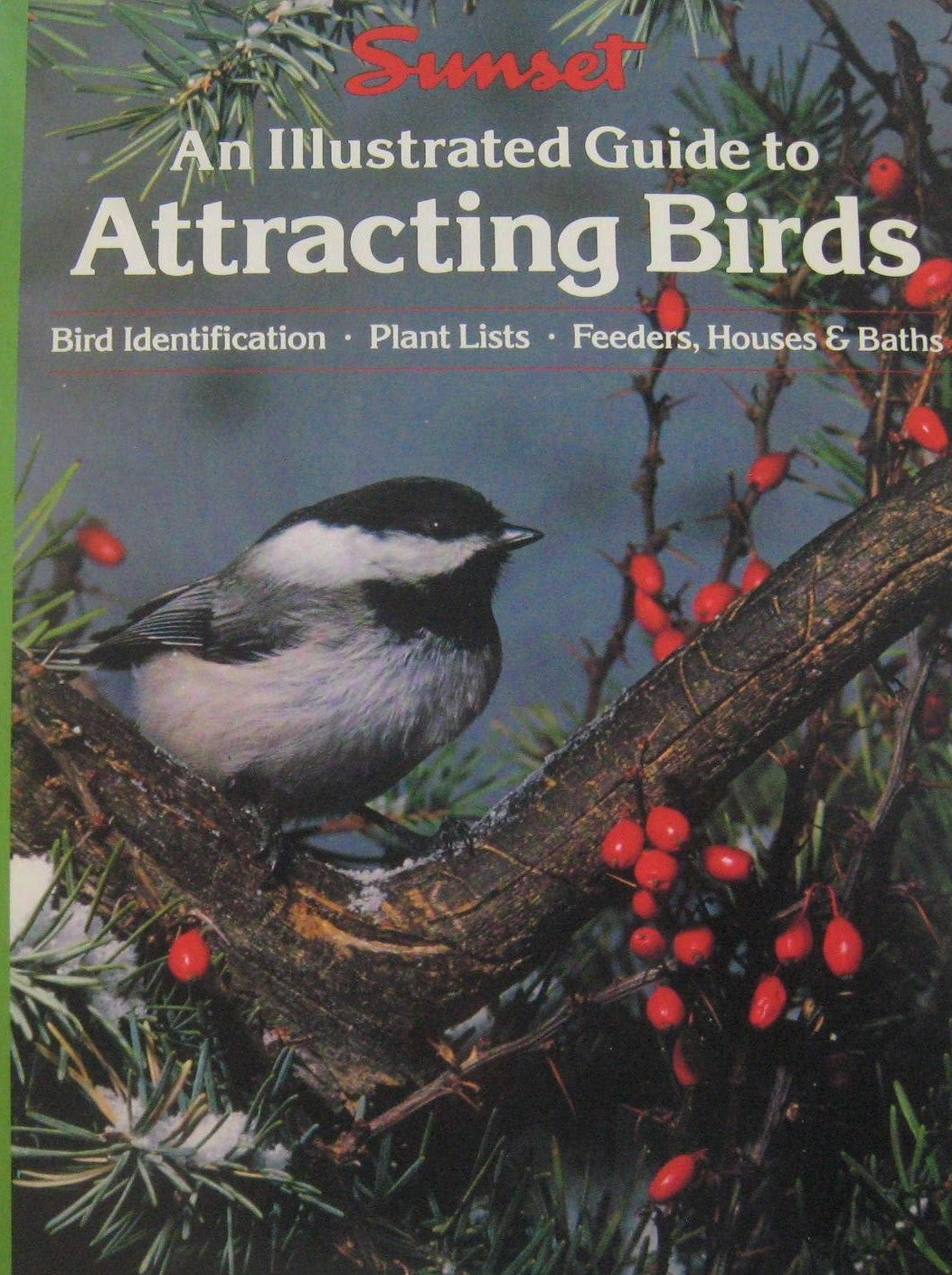 An Illustrated Guide to Attracting Birds