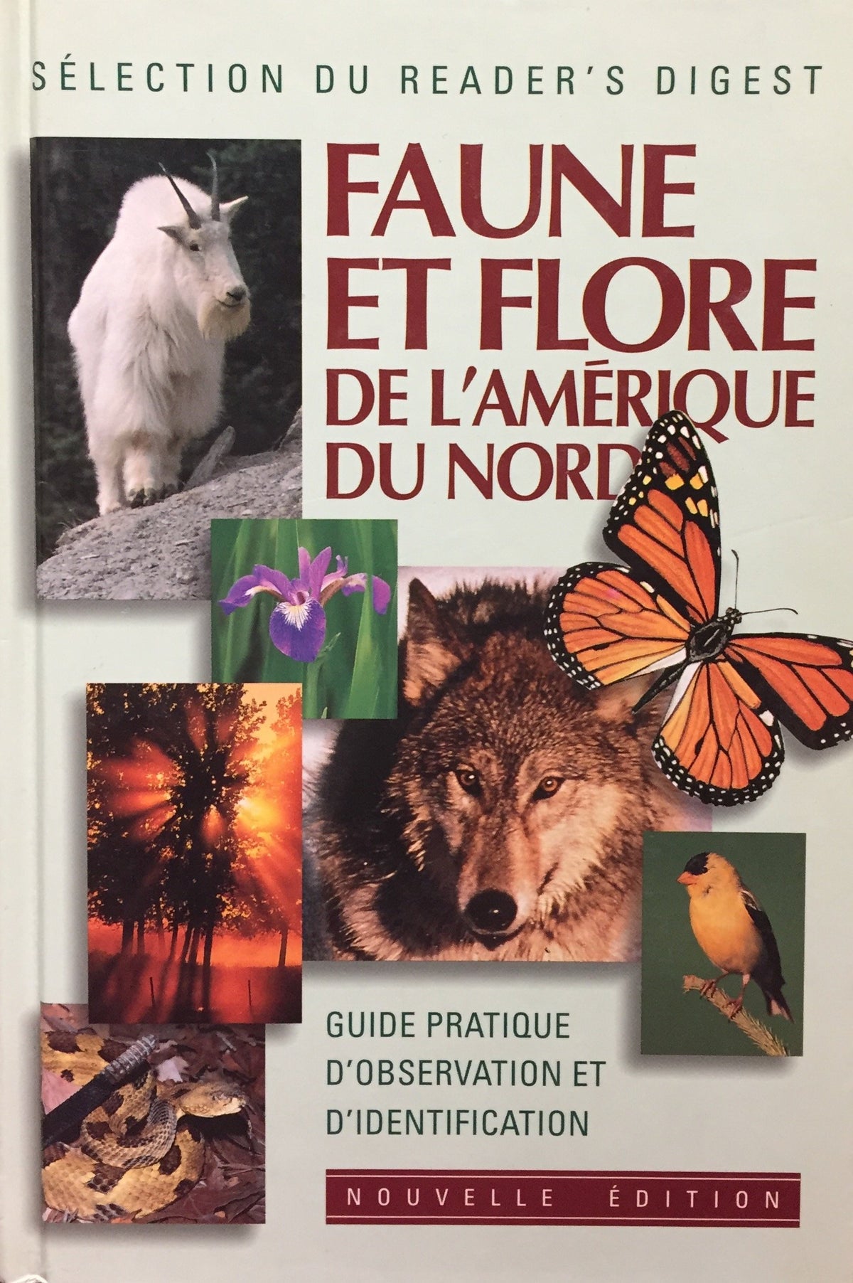 Livre ISBN 888503261 Faune et flore de l'Amérique du Nord : guide pratique d'observation et d'identification