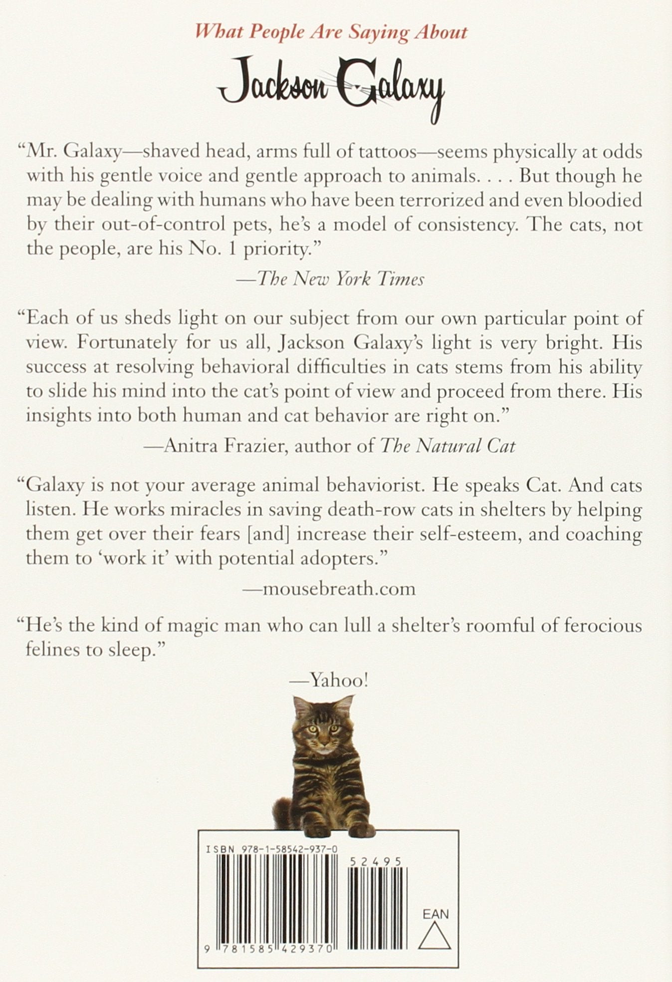 Cat Daddy: What the World's Most Incorrigible Cat Taught Me About Life, Love, and Coming Clean (Jackson Galaxy)
