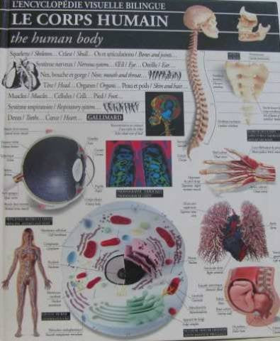 Le corps humain - the human body: l'encyclopédie visuelle bilingue