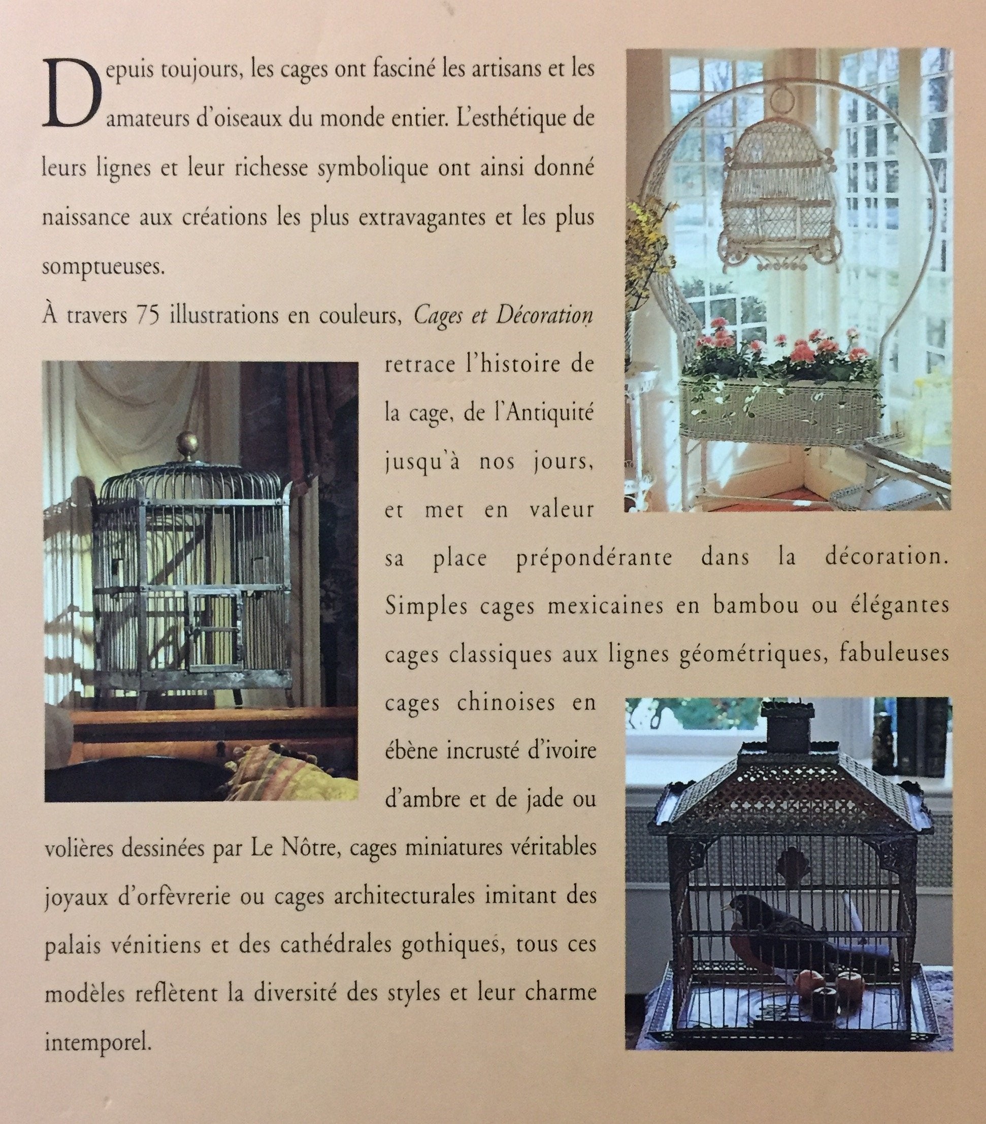 Cages et décoration (Leslie Garisto)