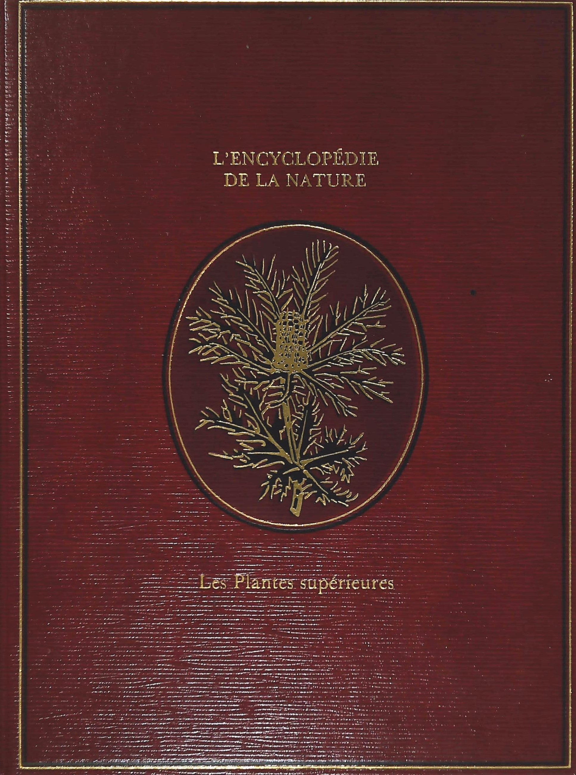Livre ISBN 2221500180 L'encyclopédie de la nature : Les plantes supérieures (Francesco Bianchini)