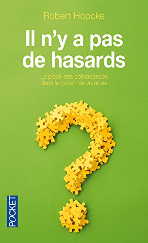 Livre ISBN 2266137956 Il n'y a pas de hasards : La place des coïncidences dans le roman de votre vie (Robert Hopcke)