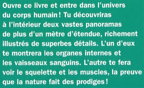 Panoramas : Le corps humain