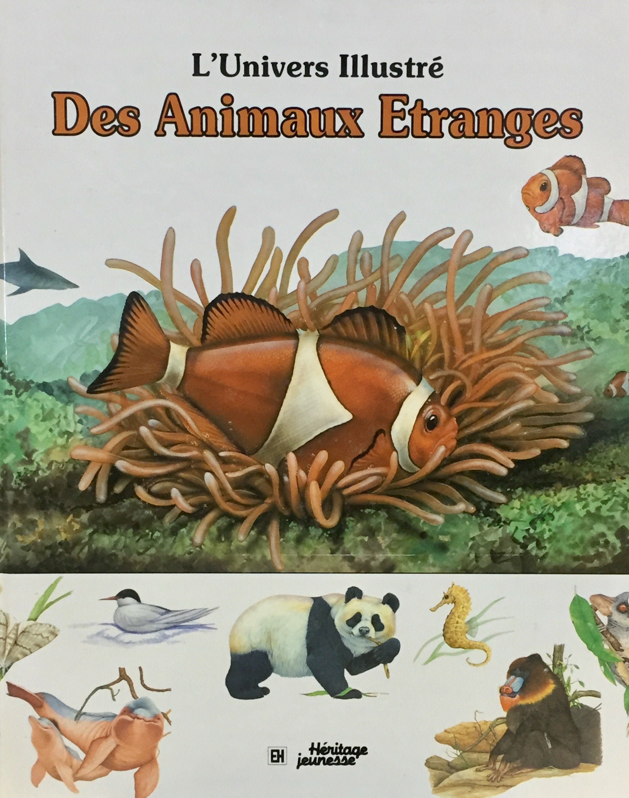 Livre ISBN 2762569893 L'univers illustré : Des animaux étranges
