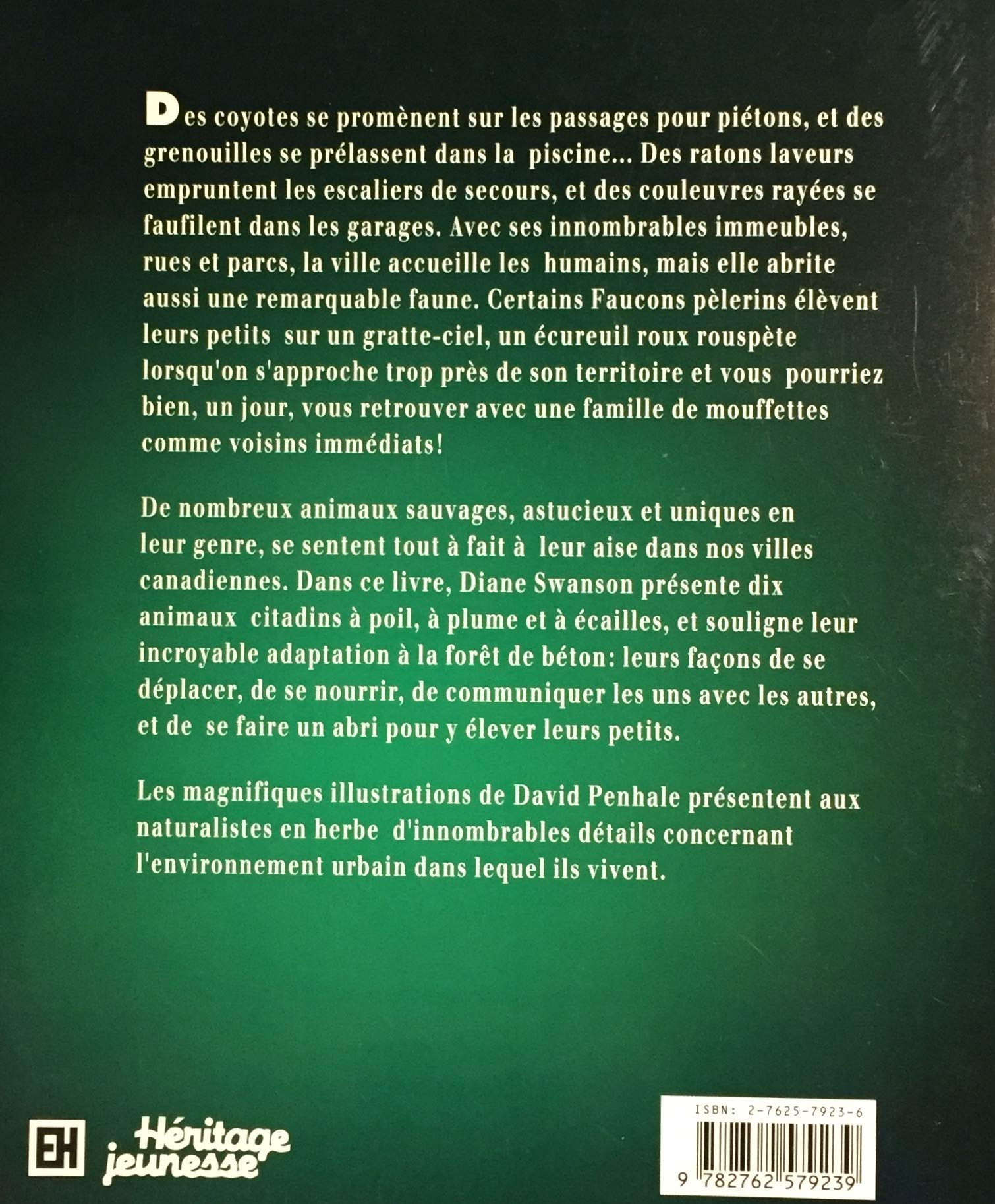 Attention! Coyote au carrefour : La faune canadienne d'une ville à l'autre (Diane Swanson)