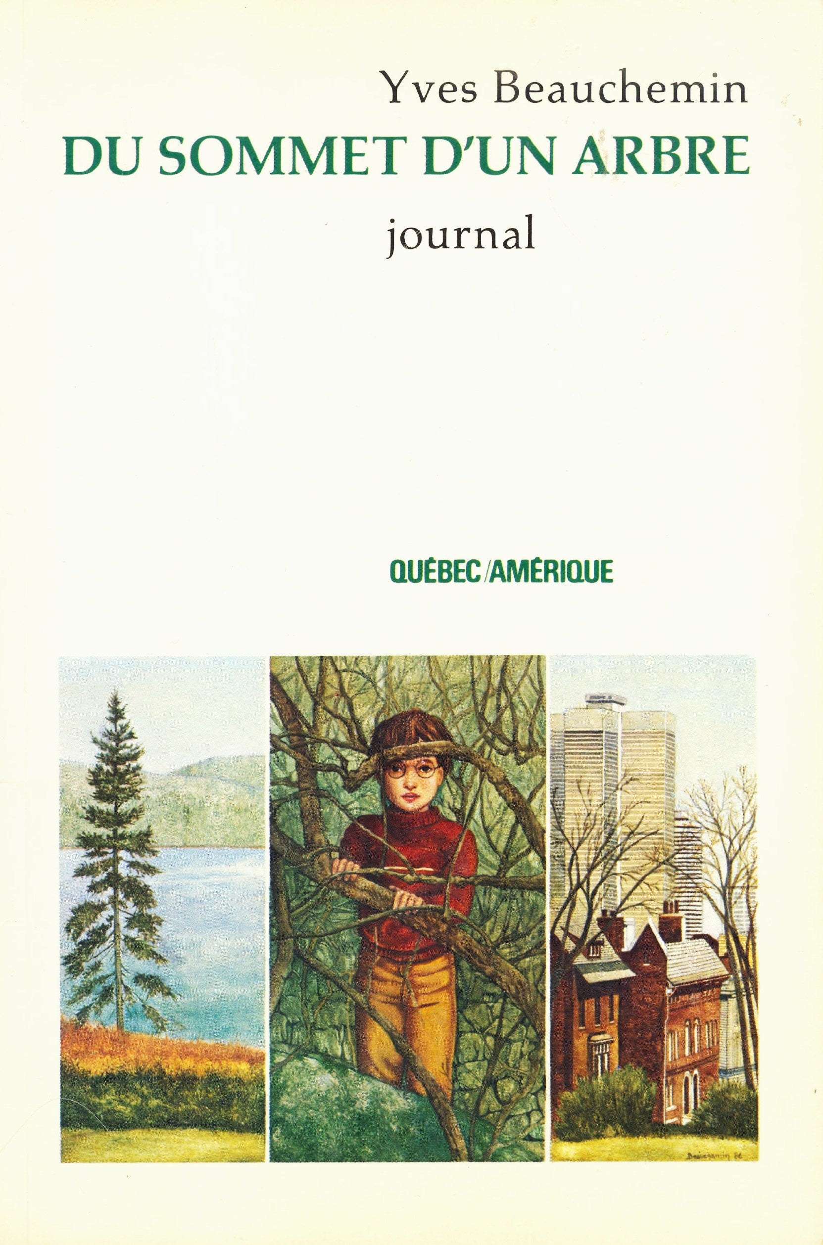 Livre ISBN 2890373002 Du sommet d'un arbre (Yves Beauchemin)