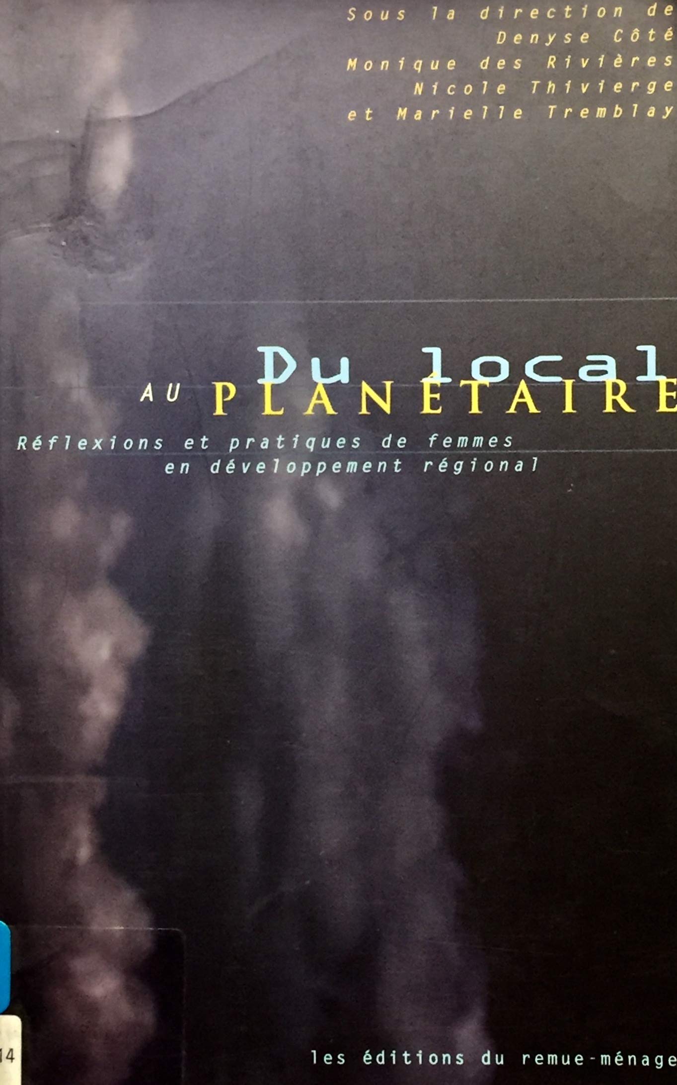Livre ISBN 2890911357 Du local au planétaire: réflexions et pratiques de femmes en développement régional
