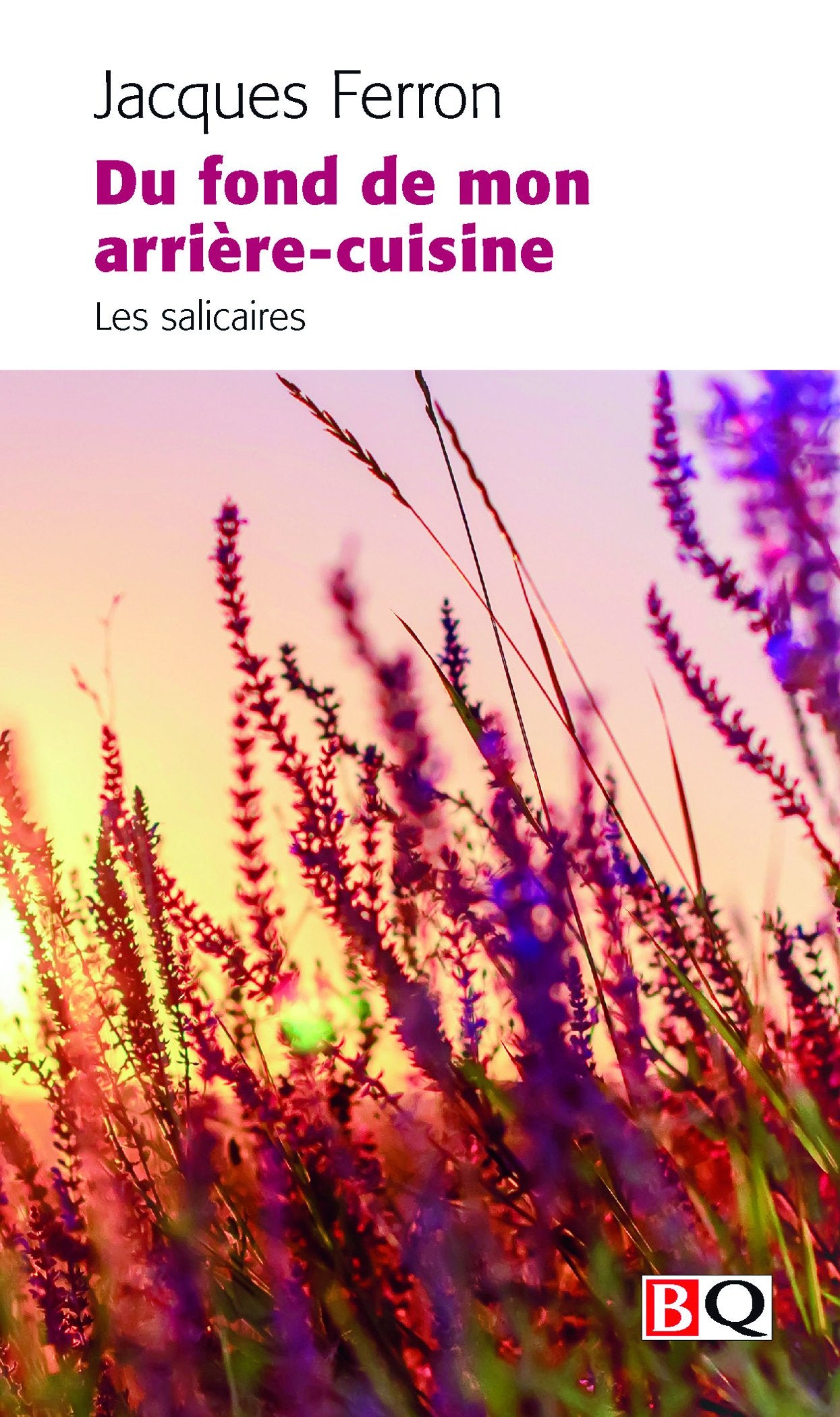 Du fond de mon arrière-cuisine - Jacques Ferron