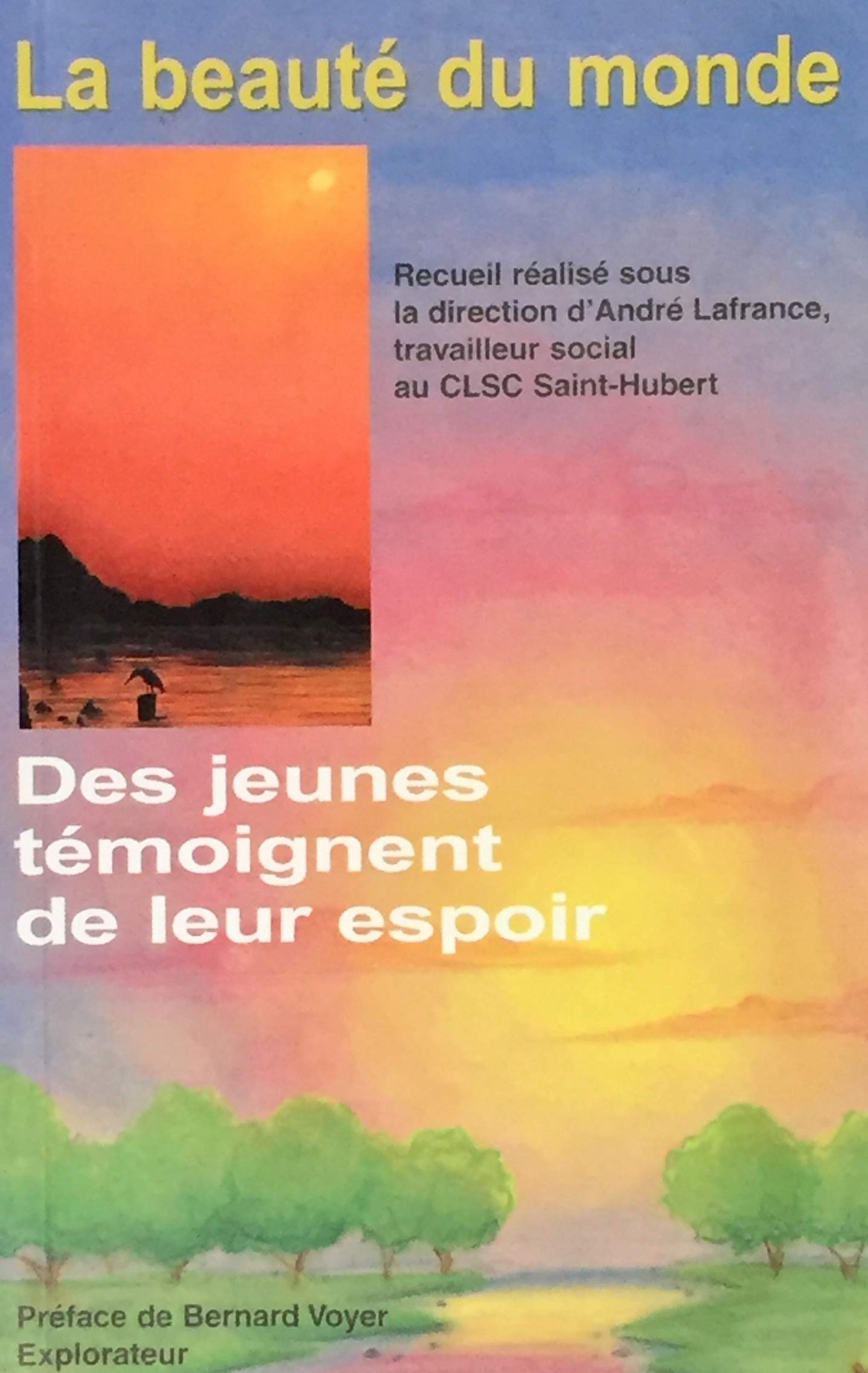 Livre ISBN 2980753408 La beauté du monde : Des jeunes témoignent de leur espoir (André Lafrance)