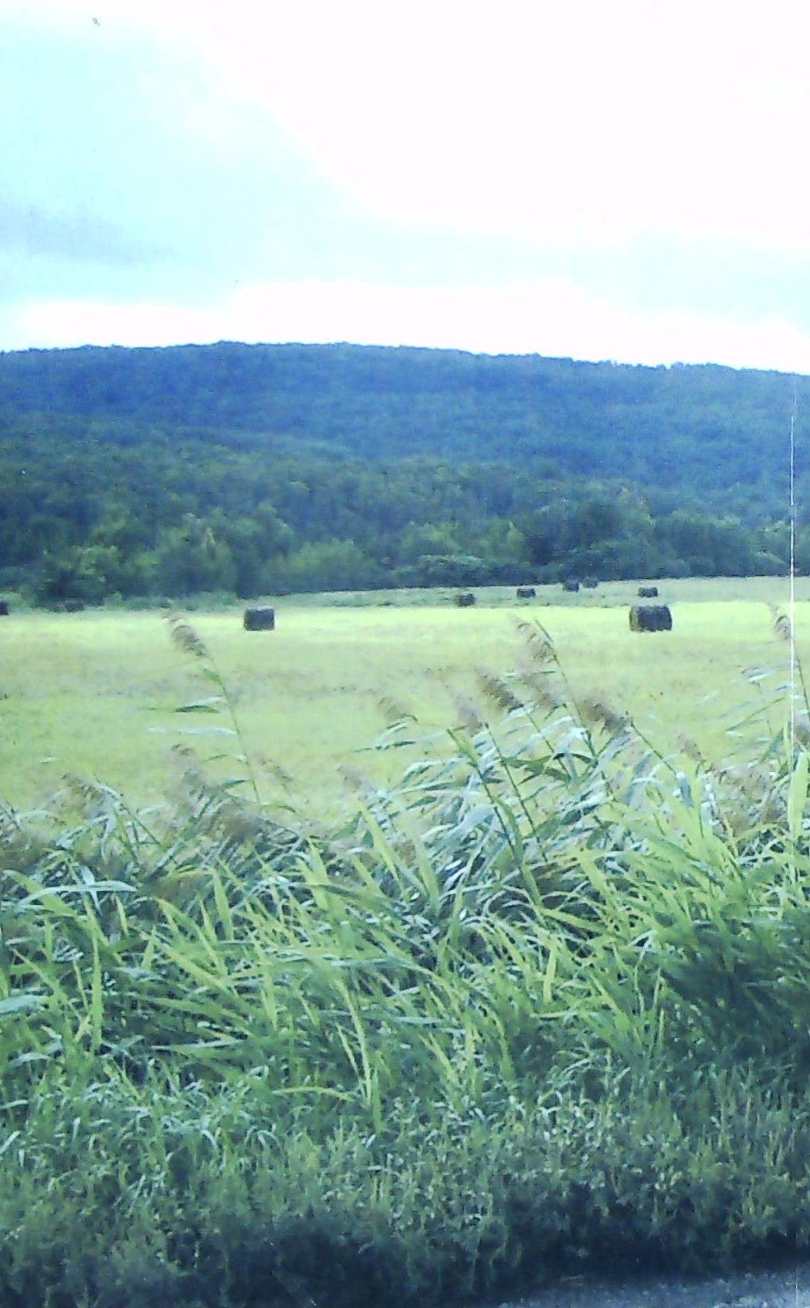 Ma vie... tel un beau désorde (Jean-Charles Durocher)