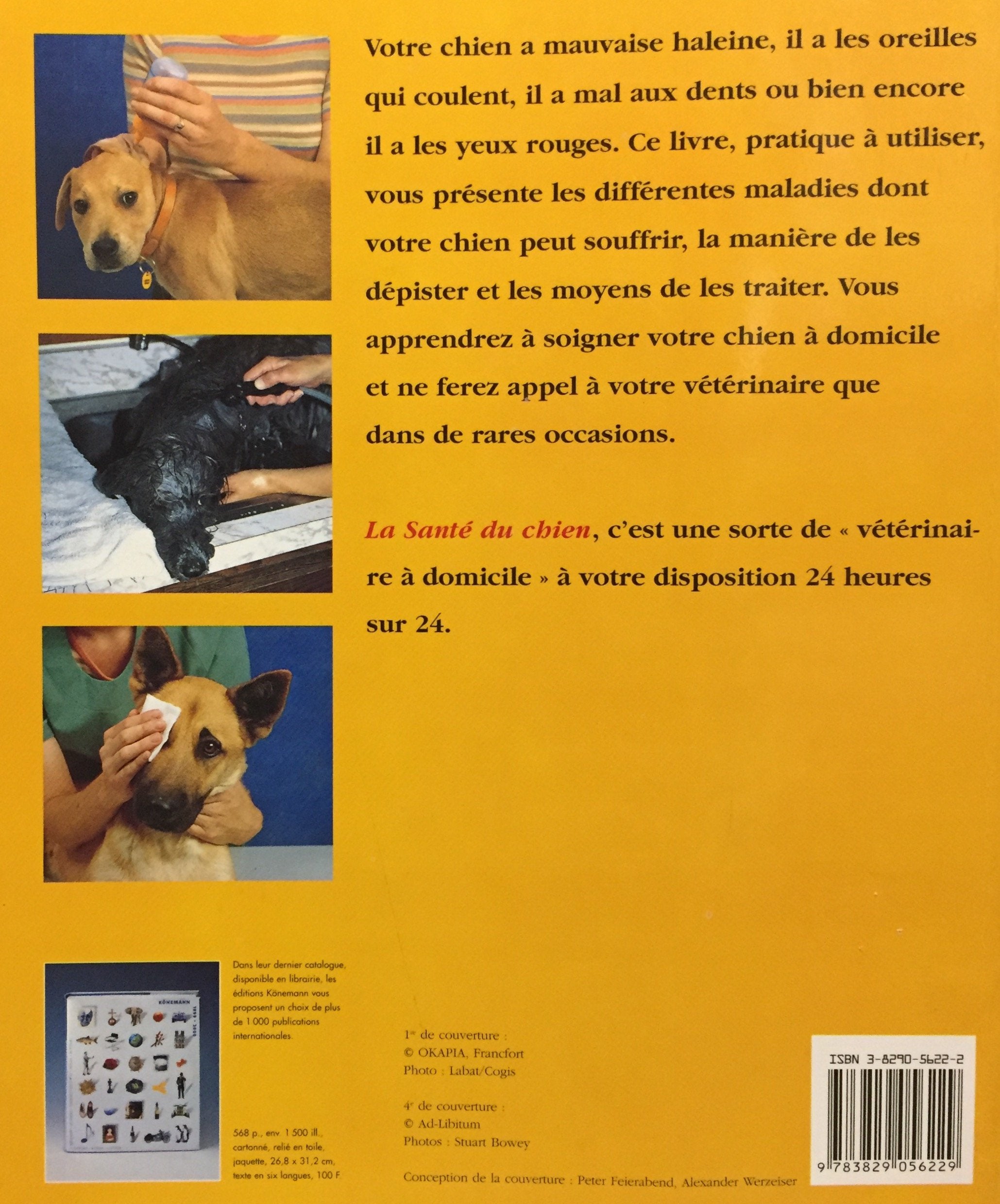 La santé du chien : Questions et réponses