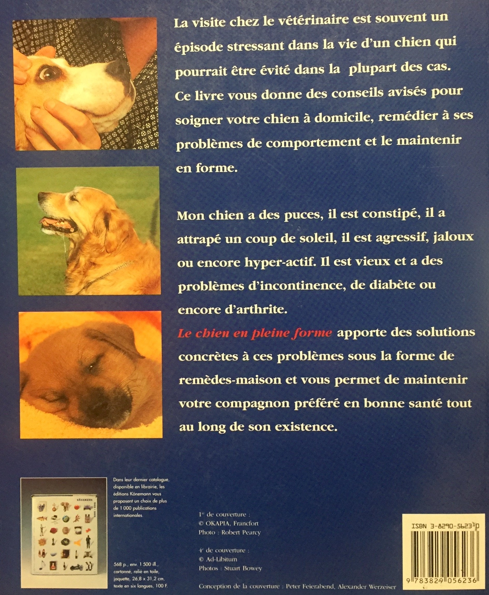 Le chien en pleine forme : Soins et prévention (Janine Adams)