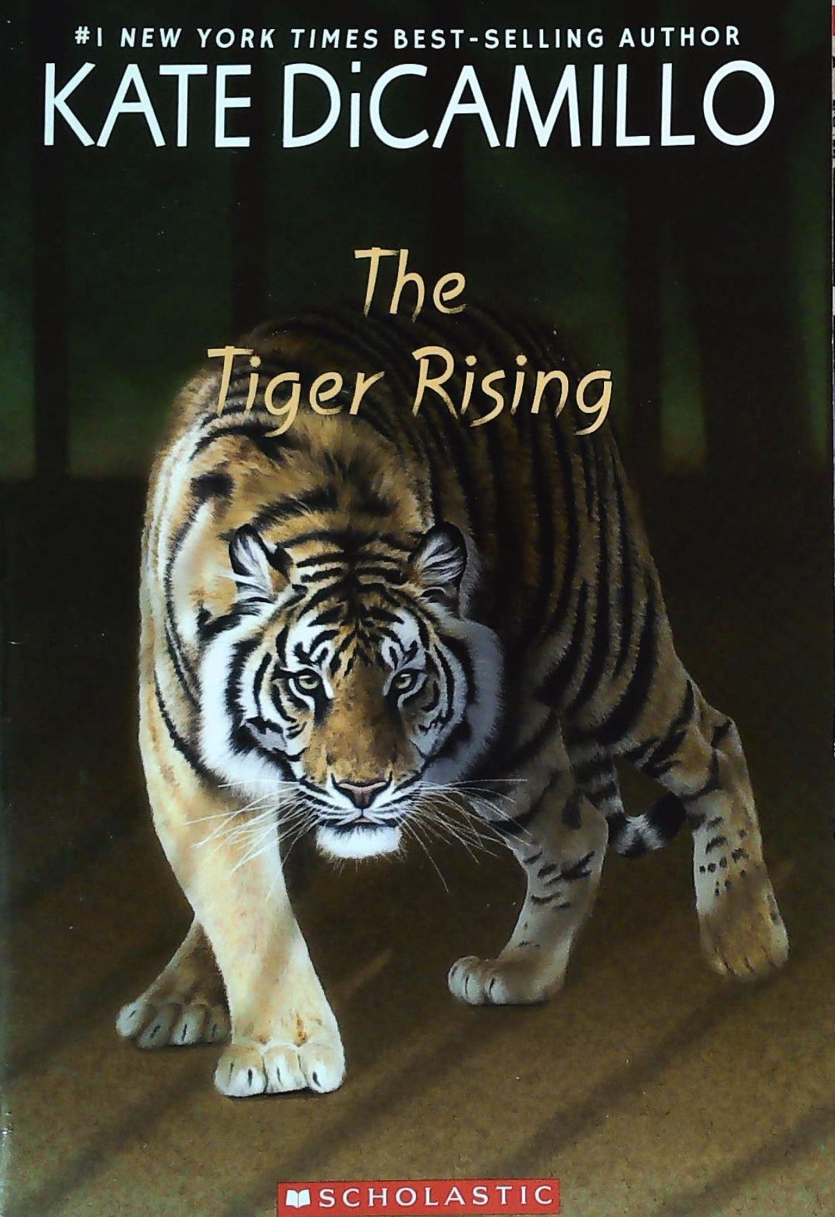 Livre ISBN The Tiger Rising (Kate DiCamillo)