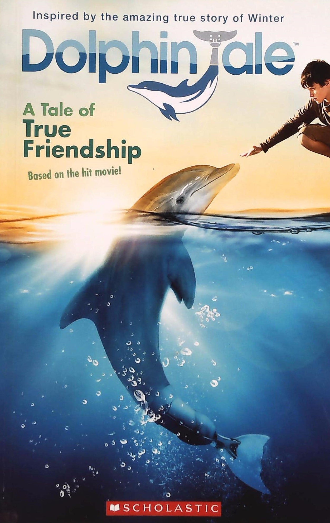 Livre ISBN 0545348412 Dolphin Tale: A Tale of True Friendship