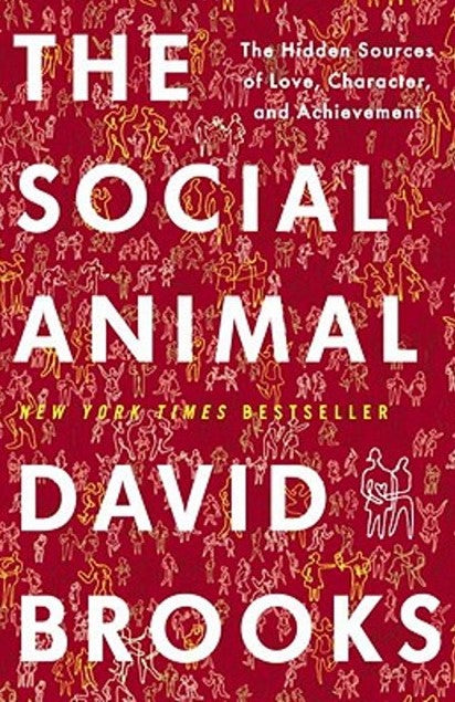 The Social Animal: The Hidden Sources of Love, Character, and Achievement - David Brooks