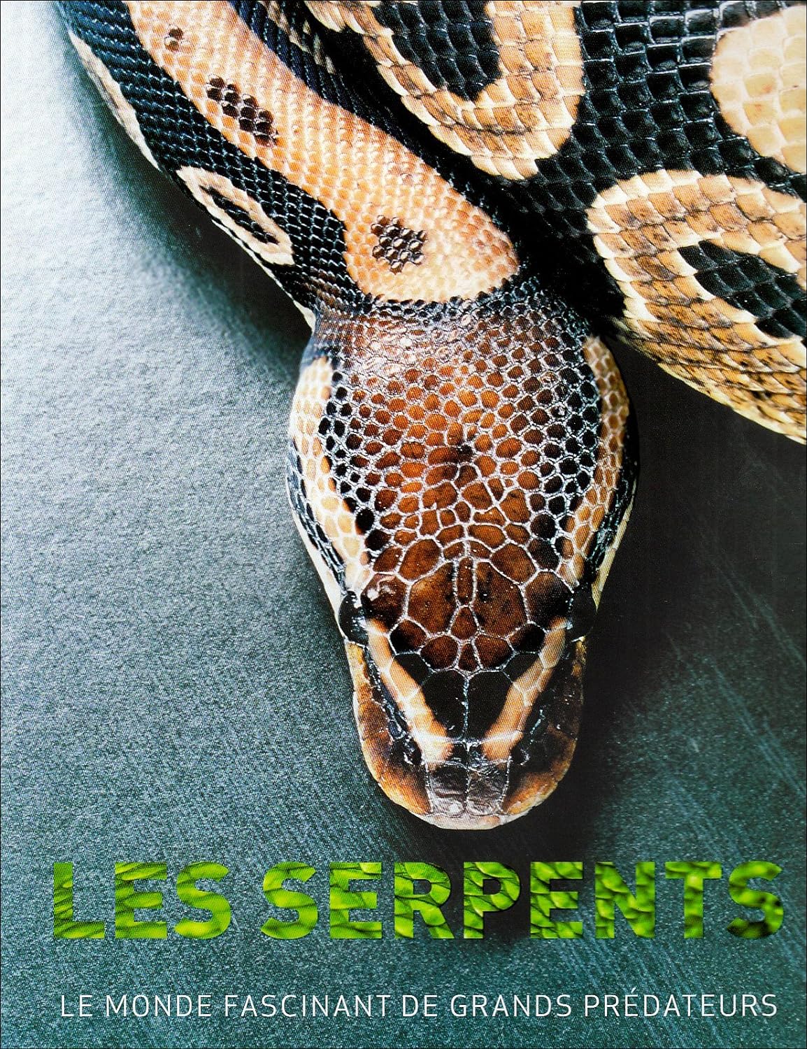 Les serpents : Le monde fascinant de grands prédateurs - Daniel Gilpin