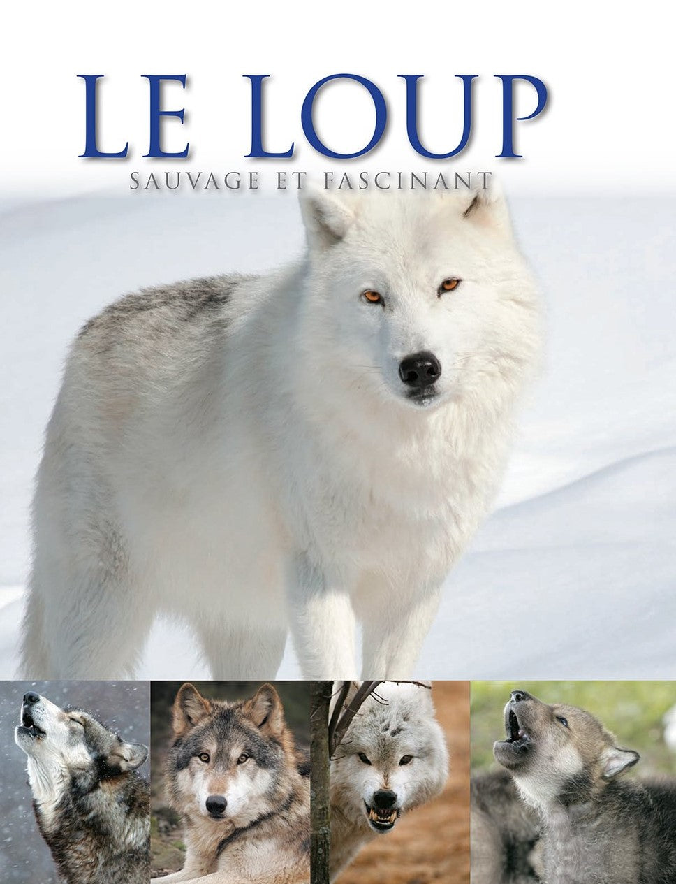 Le loup : Sauvage et fascinant - Shaun Ellis