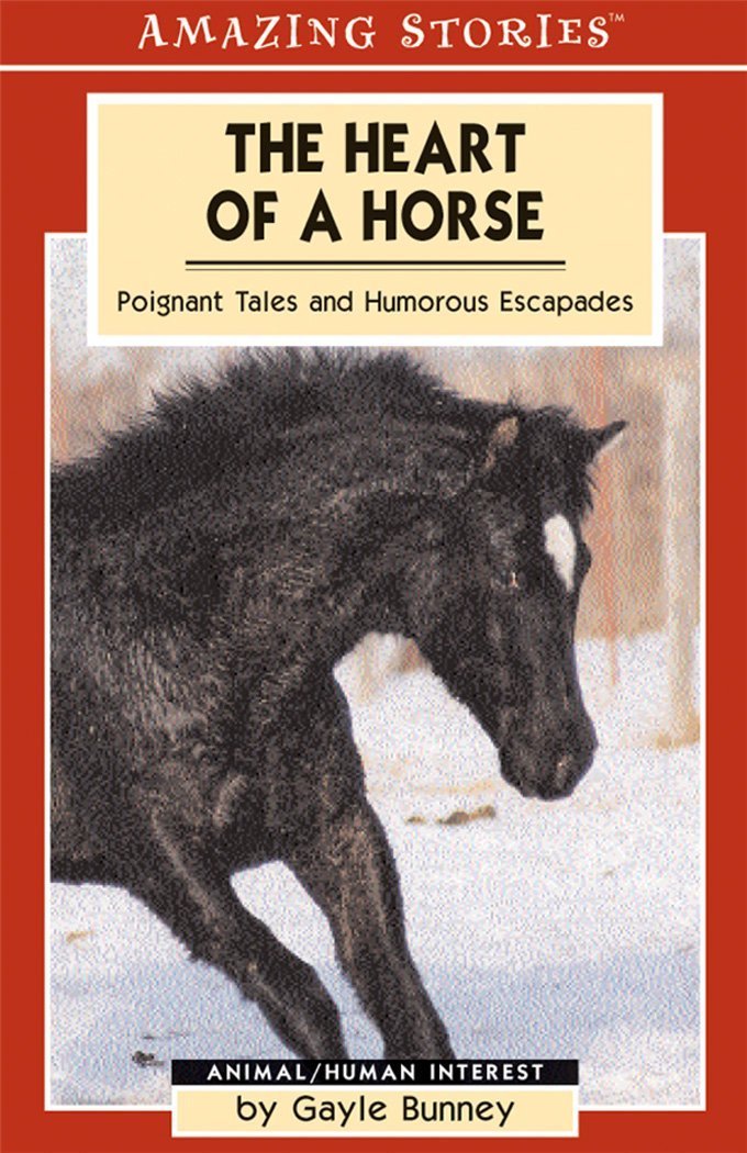Amazing Stories : The Heart of a Horse: Poignant Tales and Humorous Escapades - Gayle Bunney