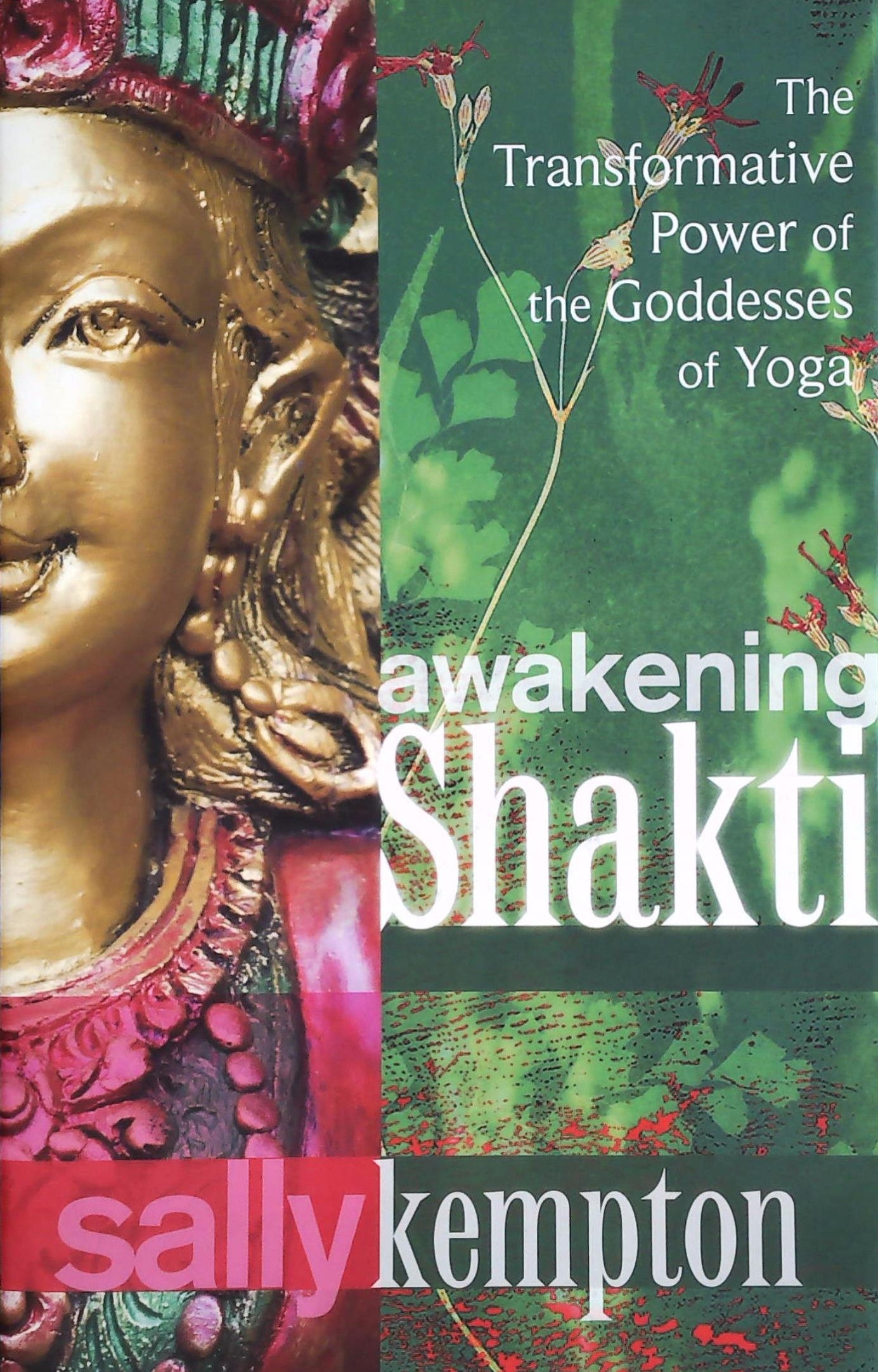 Livre ISBN Awakening Shakti: The Transformative Power of the Goddesses of Yoga (Sally Kempton)
