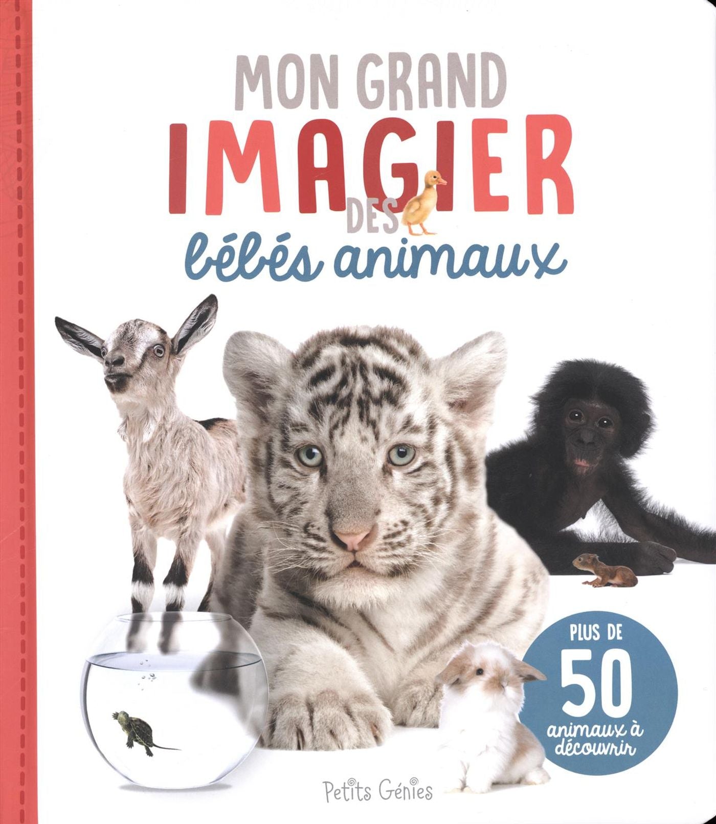 Mon grand imagier des bébés animaux - Claire Chabot
