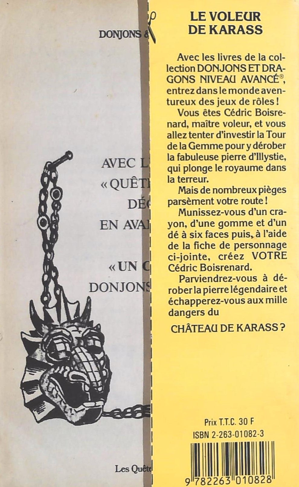 Donjons & Dragons # 1 : Le voleur de Karass (Douglas Niles)