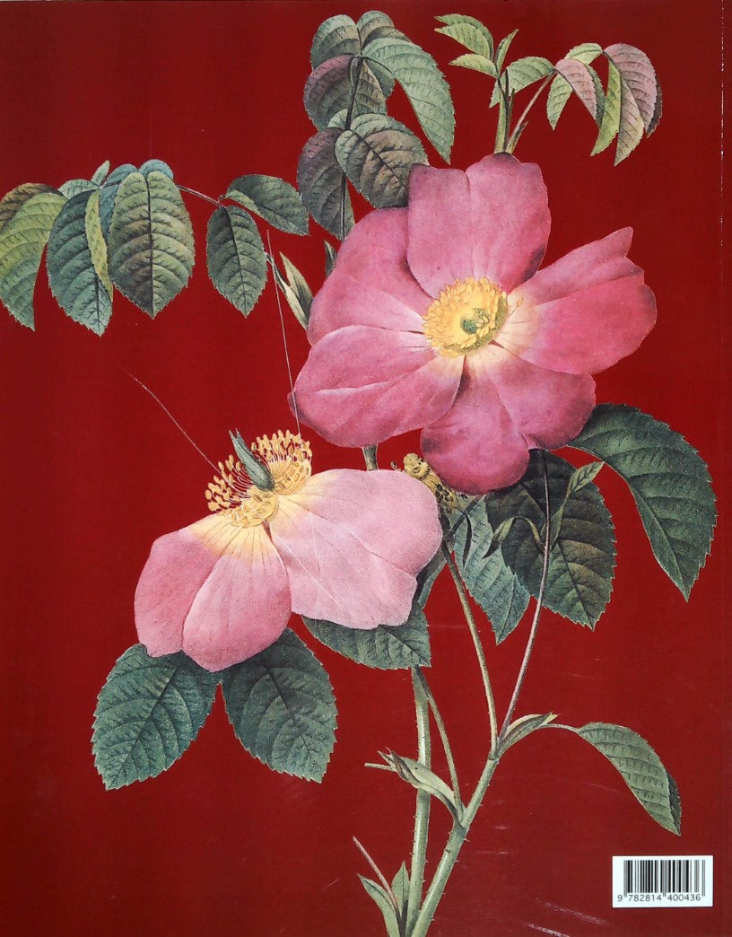 Les plus belles roses (Pierre-Joseph Redouté)