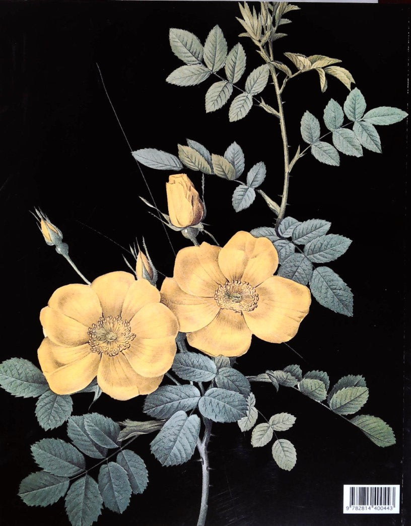 Les merveilleuses roses (Pierre-Joseph Redouté)