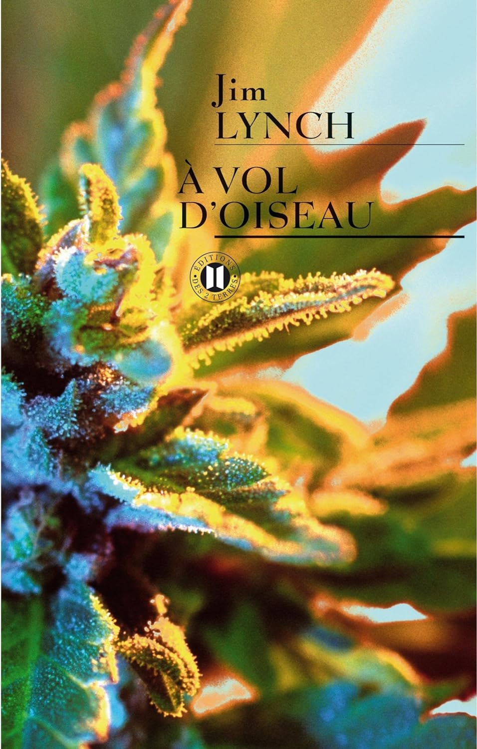 À vol d'oiseau - Jim Lynch