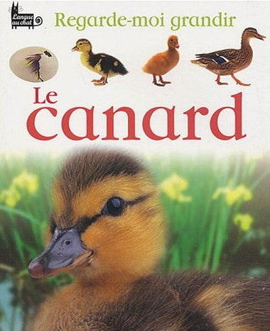 Regarde-moi grandir : Le canard