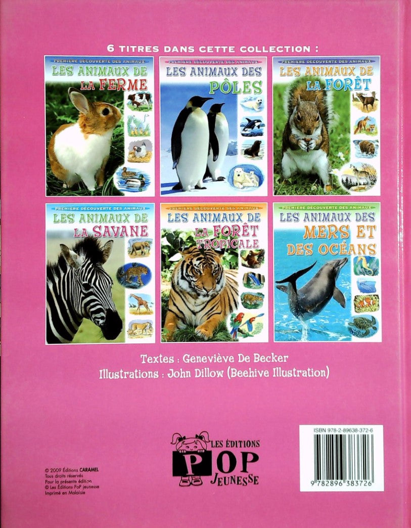 Première découverte des animaux # 4 : Les animaux des pôles