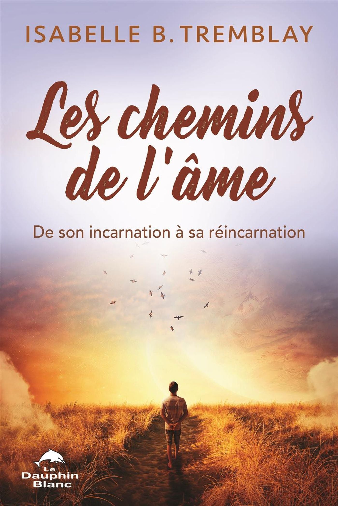 Les chemins de l'âme : De son incarnation à sa réincarnation - Isabelle B. Tremblay
